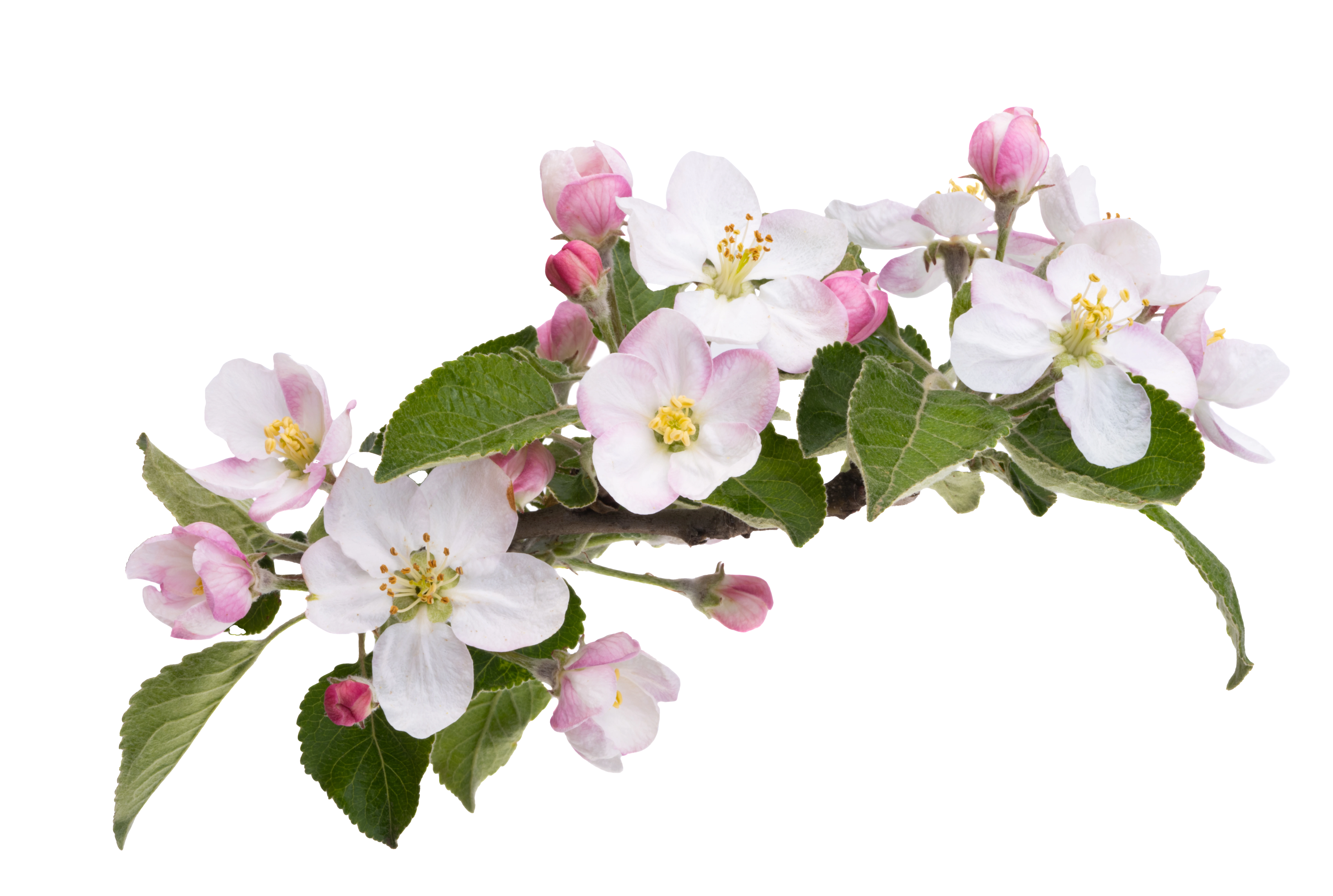 Gemälde von einer Pariser Straße bei regen